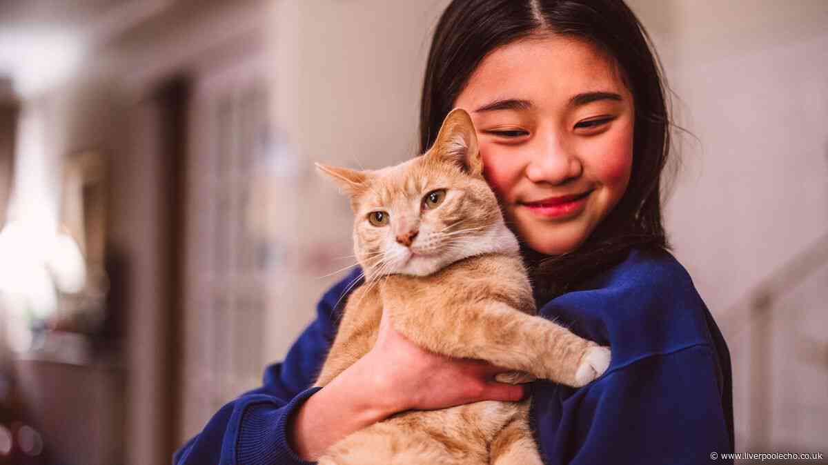 Pet expert shares what cats really think when you hug and kiss them