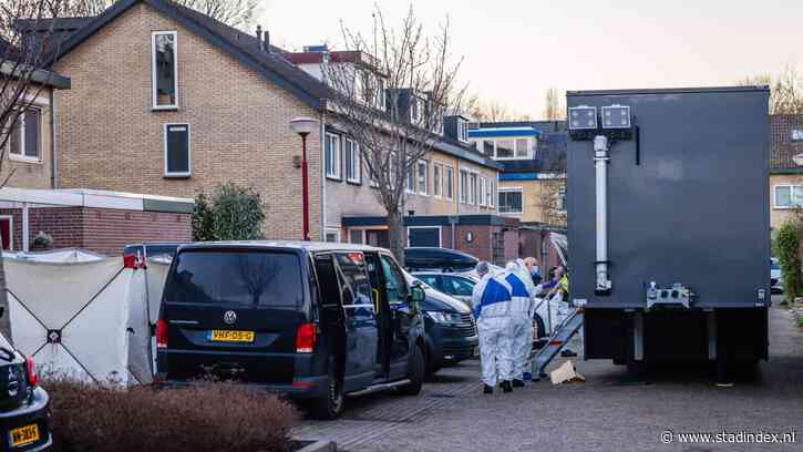 Inspecties: aanpak verwarde man die 11-jarige meisje doodstak schoot tekort