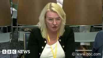 Witness invited back to Stormont committee over 'personal abuse' of TUV MLA