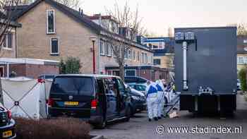 Inspecties: aanpak verwarde man die meisje doodstak schoot tekort