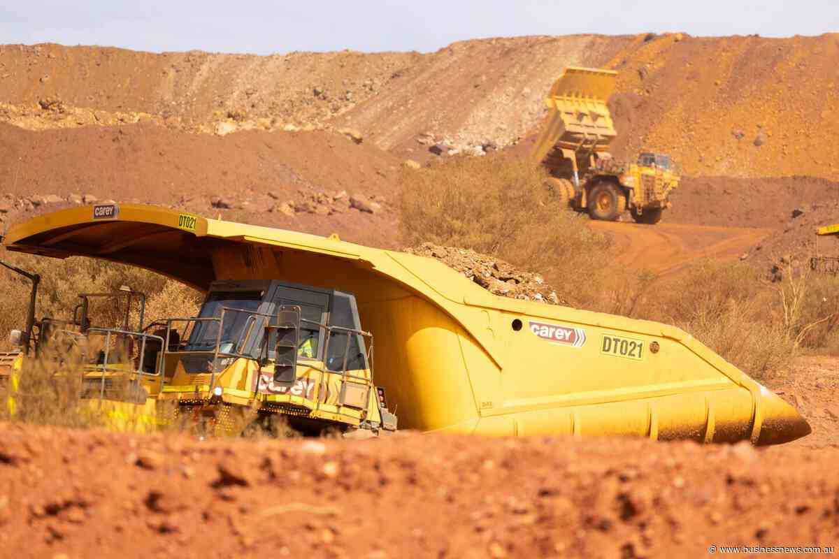 Lynas picks COO as interim boss