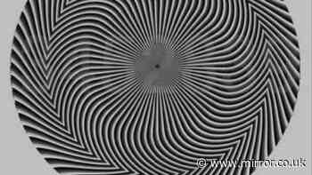 Optical illusion sparks furious debate over the numbers hidden inside