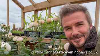 Sir David Beckham gets stuck in at Cotswolds home despite major career announcement