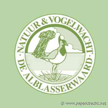 Open middag bij de Natuur- en Vogelwacht Alblasserwaard