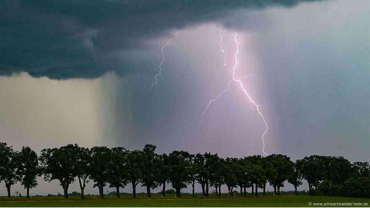 Wetteraussichten: Grau und nass am Feiertag - wann es wieder ein bisschen schöner wird