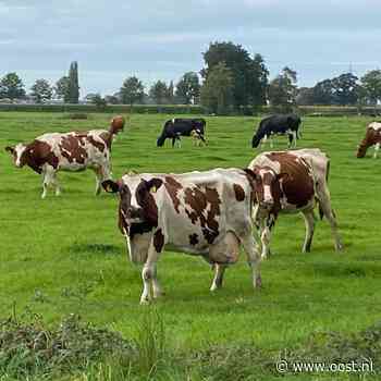 Overijssel zet koers uit voor landbouw tot 2040, boeren willen duidelijkheid