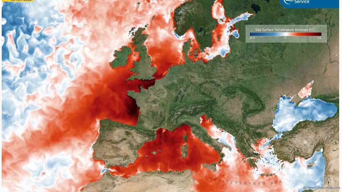 The ominous sign a SUPER El Niño is inching closer: Satellite image reveals how large areas of the Atlantic Ocean are 5°C hotter than usual - suggesting the unusual climate event could be imminent