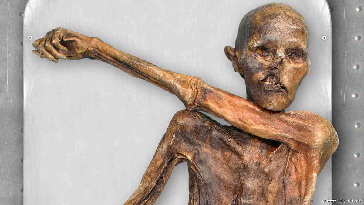 The taste of the afterlife: Scientists make sourdough BREAD using yeast collected from Otzi the Iceman's mummified body - and say it's 'really good'