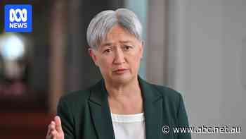 Wong believes Australian activists sexually assaulted by Israeli forces — as it happened