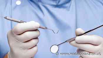 New NHS dental practice to open for 5,500 patients in Neath
