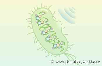 Repurposed anticancer agent becomes sound-activated antibacterial drug candidate