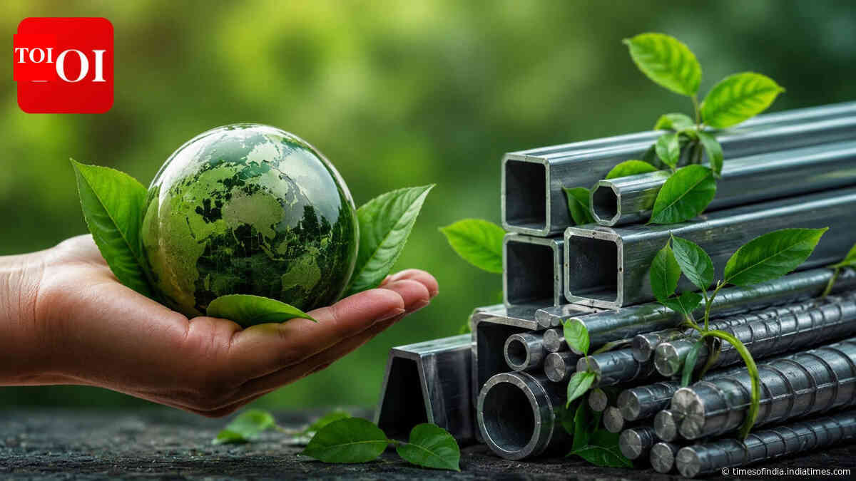 India’s steel sector faces its green reckoning