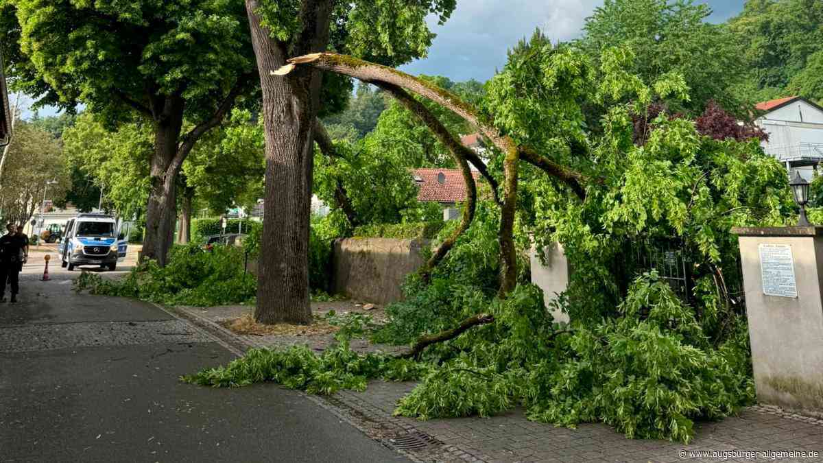 Nach Unwetter: Einer der beschädigten Bäume am Friedhof wird am Montag gefällt