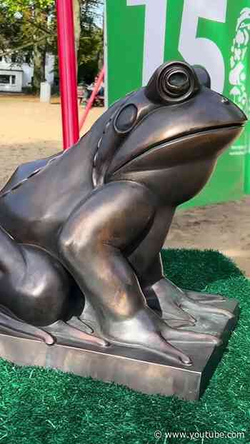 Nach einer langen Reise: Fridolin ist wieder zurück! 🐸