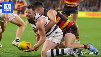 Live: Dangerfield dominates first half as Cats and Crows struggle in wet weather