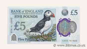 Churchill Won't Be on UK Banknotes for Long: Hedgehogs and Puffins Could Replace Historic Icons