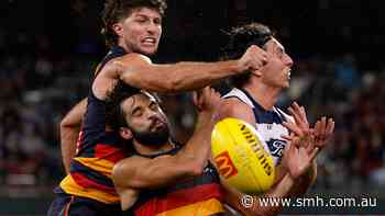 AFL LIVE: Dangerfield, Walker shining early at Adelaide Oval as wet-weather thriller looms between Crows, Cats