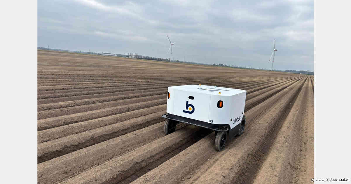 Onkruidrobots in opmars in Vlaamse landbouw: vooral interesse vanuit biosector