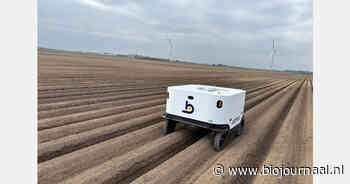 Onkruidrobots in opmars in Vlaamse landbouw: vooral interesse vanuit biosector