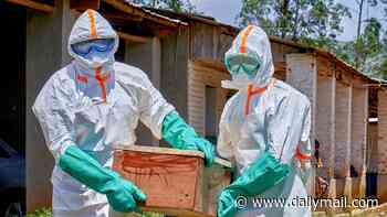 NHS warns staff to 'prepare for Ebola outbreak in the UK' as eye-bleeding disease kills hundreds in Africa: 'Stock up on PPE and isolate patients ASAP'