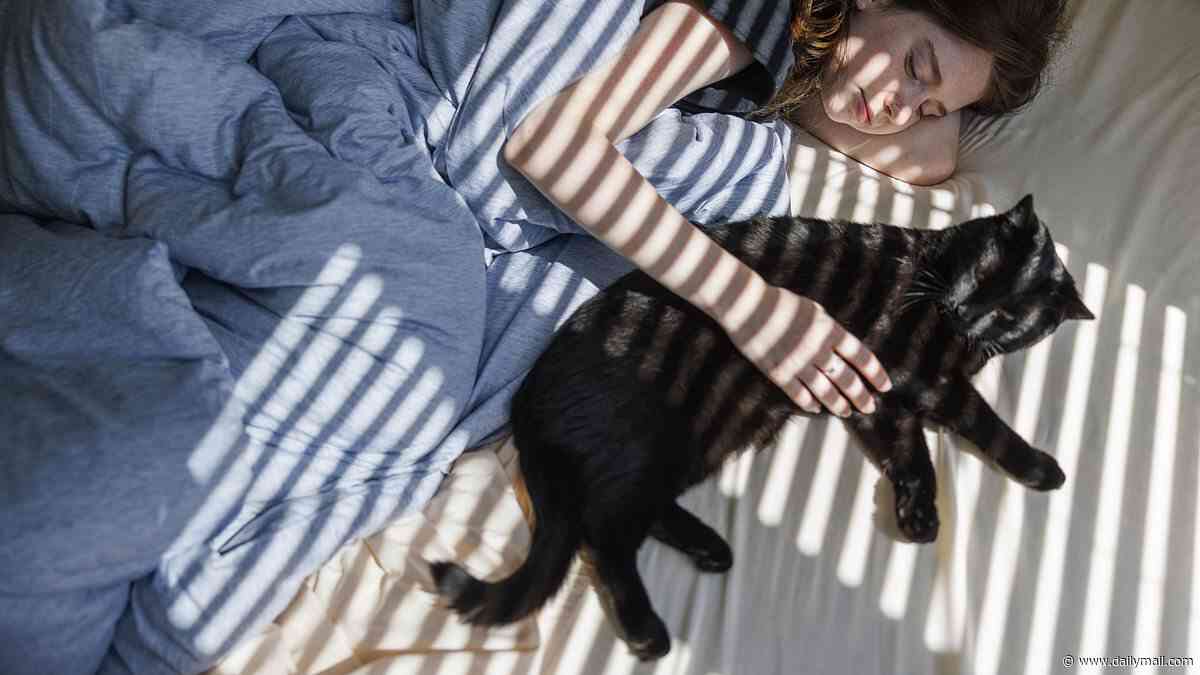 The truth about sleeping with your pet: Germ risks, claims of better sleep... and what experts REALLY think