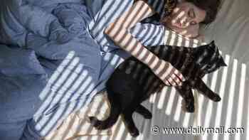 The truth about sleeping with your pet: Germ risks, claims of better sleep... and what experts REALLY think