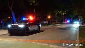 Young man dead in overnight shooting at Turin Park in Montreal's Villeray neighbourhood