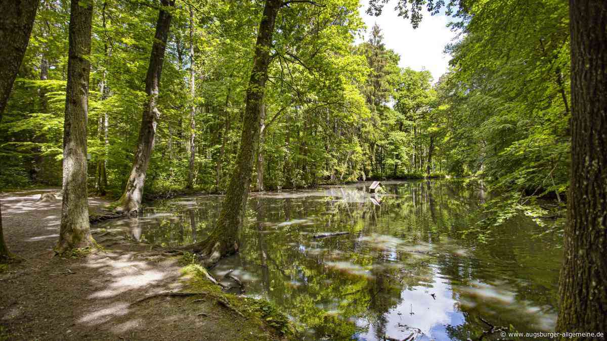 Neuer Premiumspazierwanderweg in Weißenhorn: Jetzt anmelden zum Mitlaufen