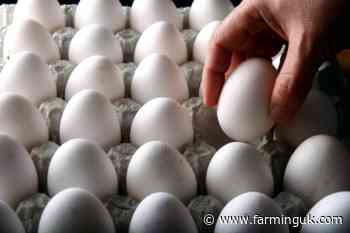 Brown eggs to be cut in Sainsbury’s sustainability push