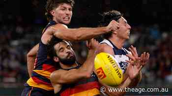 AFL LIVE: ‘An absolute no-no’: Walker to come under MRO heat, Stewart speaks on his own incident as Crows lead Cats