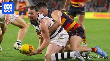 Live: Crows stunned by Cats comeback as dangerous push lands Walker in strife
