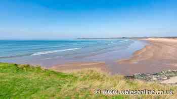 Welsh beach named as UK's best but locals say enough is enough