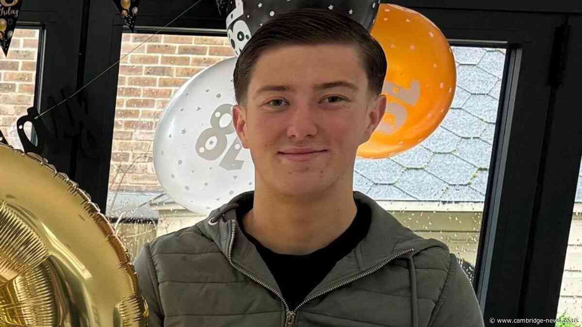Henry Nowak inquest to examine police response and medical treatment delays