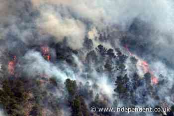 Spanish town faces ‘65ft flames’ during massive wildfire in holiday hotspot