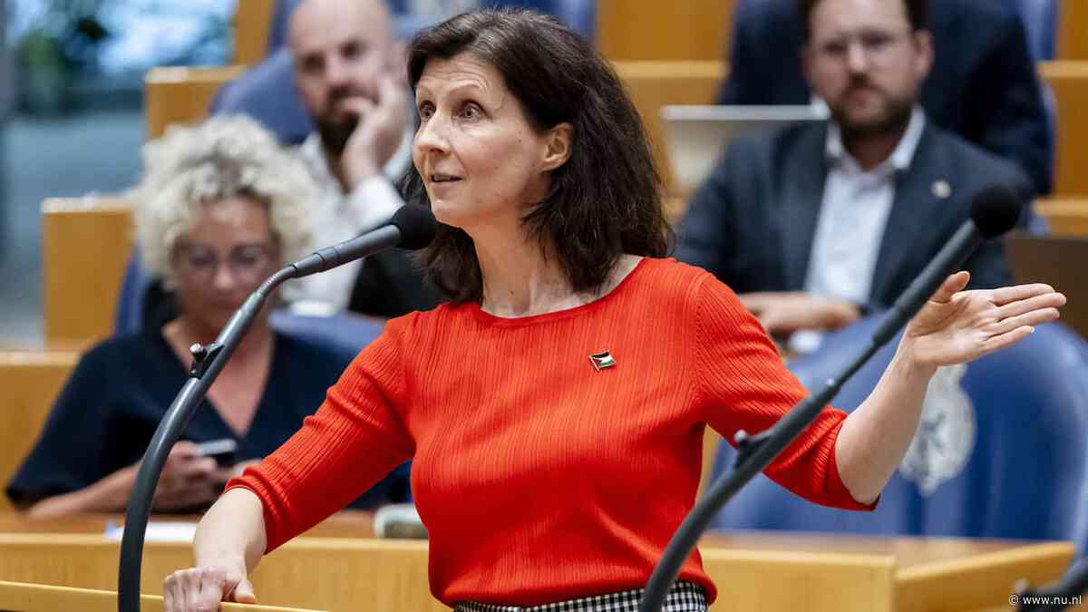 Esther Ouwehand stopt als partijleider Partij voor de Dieren, blijft wel Kamerlid