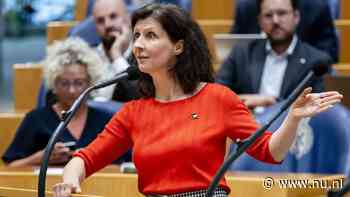 Esther Ouwehand stopt als partijleider Partij voor de Dieren, blijft wel Kamerlid
