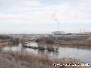 South London incinerator cleared to burn 35,000 tonnes more waste despite opposition