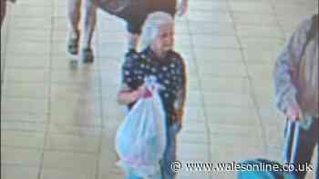 Body found in search for woman last seen at Swansea bus station