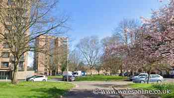 Teen arrested after boys stabbed in Cardiff park