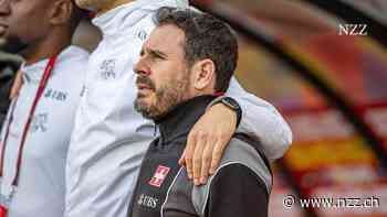 Neuer Trainer für den Schweizer Meister: Privitelli folgt beim FC Thun auf Lustrinelli