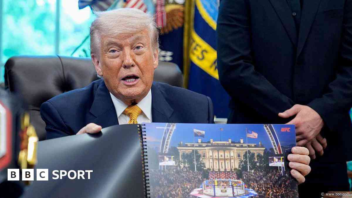 Trump says Eiffel Tower-like UFC structure may stay on White House lawn