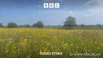 A fire safety warning for Staffordshire country parks