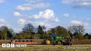 Farmers urged to help on 'overdue' arthritis study