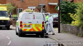 Murder investigation launched after woman found dead in house
