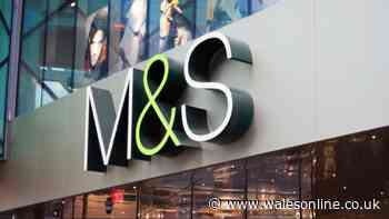 M&S £25 dress 'great to pop in suitcase' with 'flattering elegant sleeves'