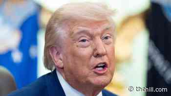 Trump rips 'meaningless' House vote on resolution to end Iran war