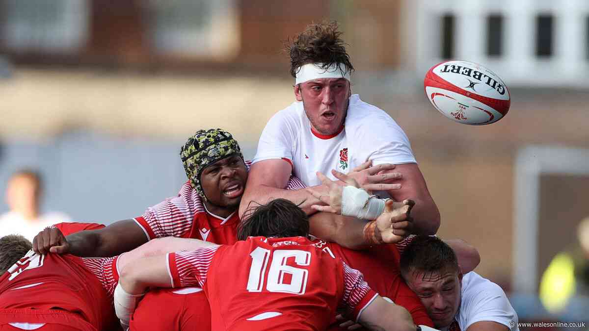Scarlets announce another signing as powerful South African joins