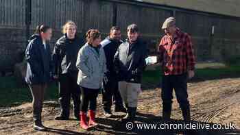 North East's young people want to work – but there's a 'massive gap' in jobs crisis support