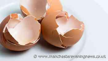 Gardeners urged not to throw away eggshells after breakfast