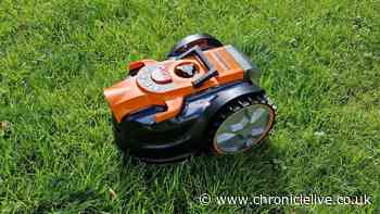 'I've had my robot lawnmower for 2 years but it paid for itself within weeks'